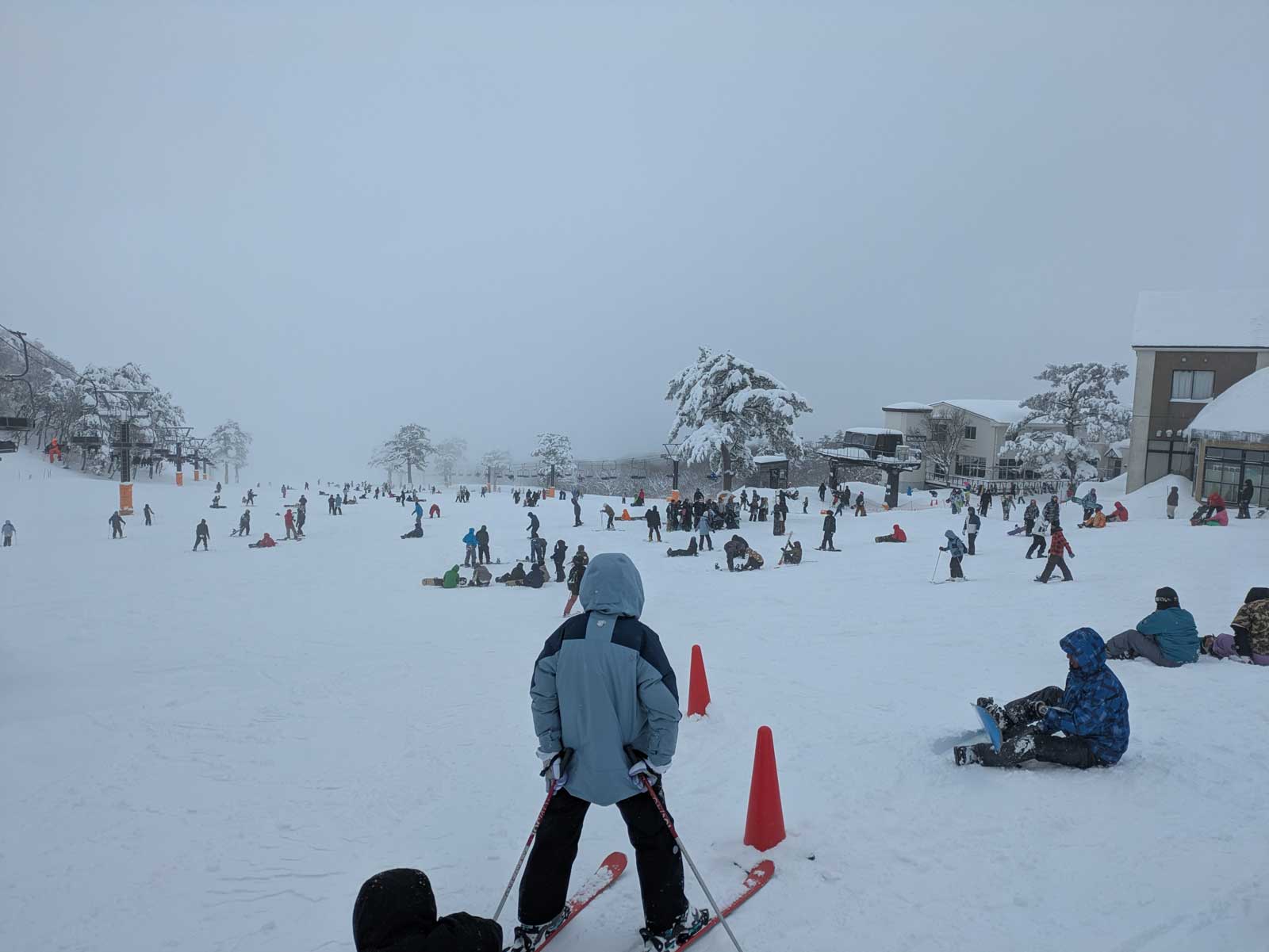 午後の豪円山エリア
