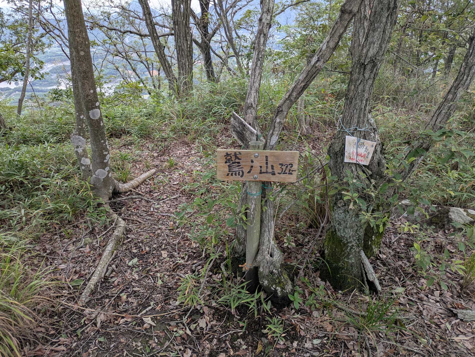 山頂