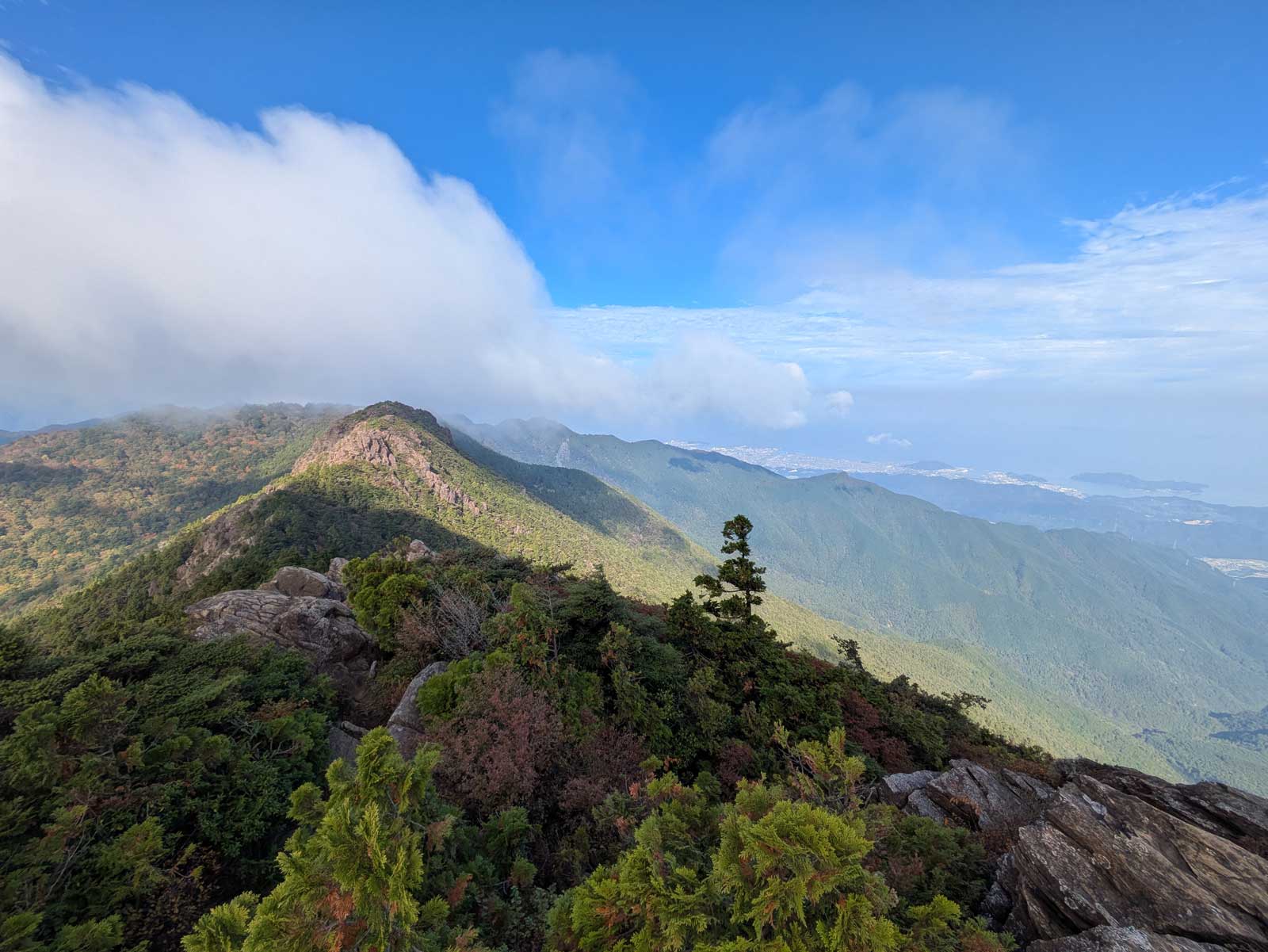 山頂から