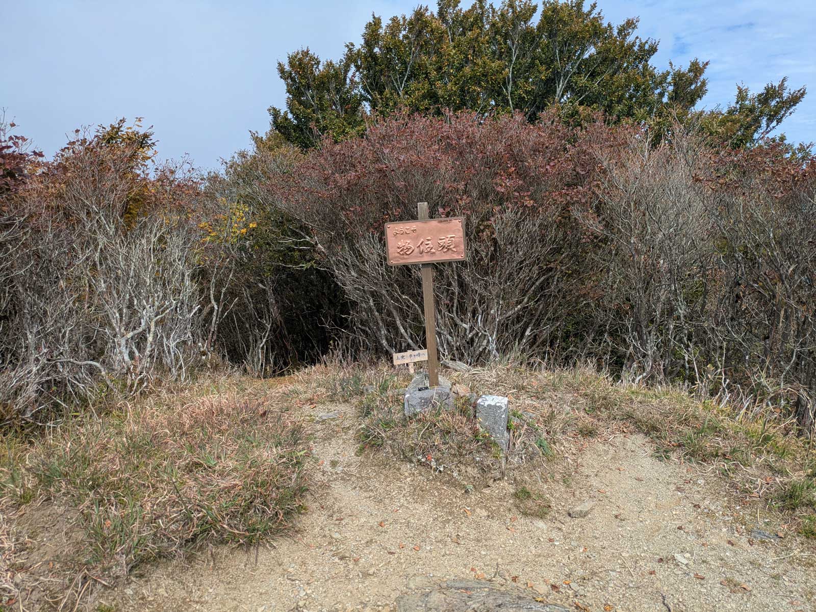 物住頭